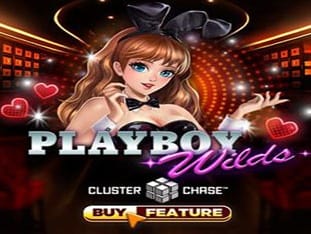 Playboy Wilds icon