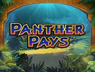 Panther Pays icon
